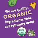 Annie's Organic Friends Bunny Grahams, Chocolate Chip, Chocolate, and Honey Baked Graham Snacks, 12 Pouches, 12 oz (Pack of 4), BBD: 16 OCT 2026