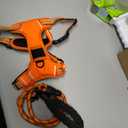 No Pull Harness with A Free Heavy Duty 5ft Leash for Medium Large Dog Adjustable Reflective Oxford Easy Control (L (Neck: 18"-25.5", Chest: 25.5"-31"), Orange Harness+Leash)