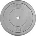 CAP Barbell Cast Iron Standard 1-Inch Weight Plates, Gray, Single, 50 Pound