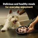 Cesar Wet Dog Food Classic Loaf in Sauce, Breakfast and Dinner with Grilled Steak & Eggs Flavor, and Chicken & Liver Flavor, 3.5 oz. Easy Peel Trays, Variety Pack, 24 Count