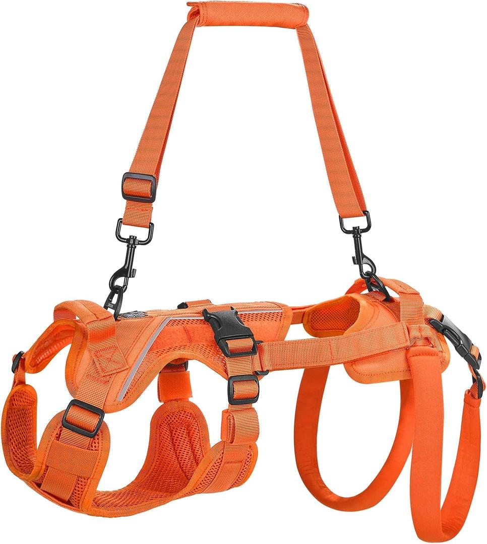 OneTigris Dog Lift Harness for Small Dogs XS, Dog Sling Carrier for Small Dogs, Full Body Lift Vest with Reflective Straps, Support Harness for Back Legs (Orange, XX-Small)
