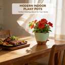 7/6.5/6/5.5/5 Inch Self Watering Pots, Plastic Flower Pots with Multi Mesh Drainage Holes and Deep Reservoir for Indoor Outdoor Garden Plants and Flowers (White, 5/5.5/6/6.5/7)