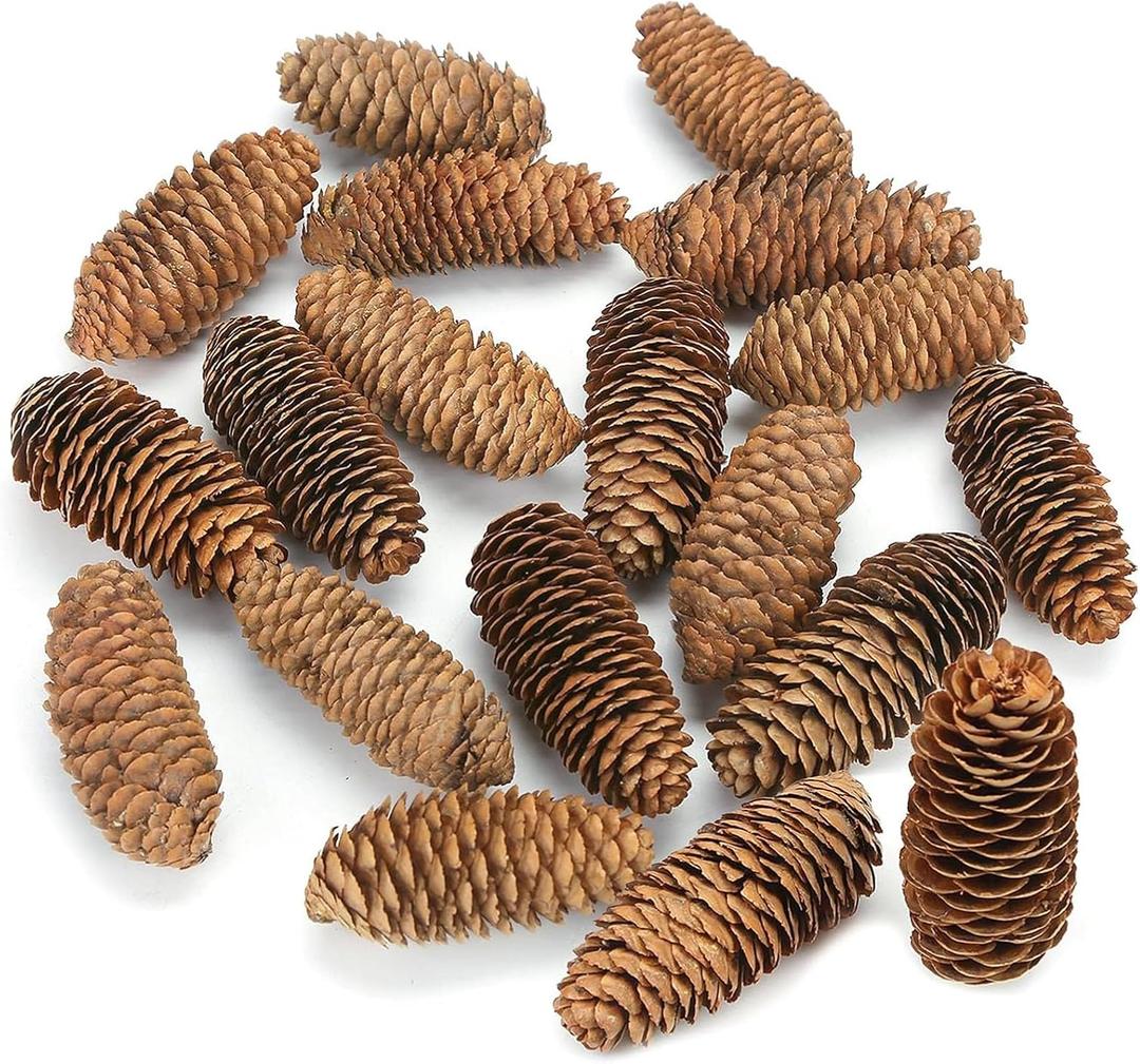 JOHOUSE 18PCS Large Spruce Pine Cones, Big Natural Pinecones for Christmas & Fall/Winter Decor, Vase/Bowl Filler, Wreath & Craft Ornaments