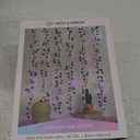 LED Curtain Vine Pink Ombre 66 Leds