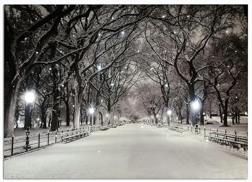 Large Winter Scene Canvas Pictures Lighted for Wall Decor, Xmas LED Canvas Wall Art w/ Timer, Light Up Snowy Path Hanging Artwork, Peaceful Night Landscape Paintings Prints Lit Up w/ Twinkling Lights