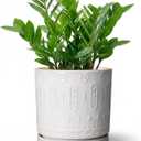 Eightpot 8 Inch Plant Pot, Ceramic Planter for Indoor Plants Outdoor, Round Planter with Drainage Hole and Tray, Boho Flower Pot, Decorative Pots for Plants, Home Decor, Plant Lover Gifts, White