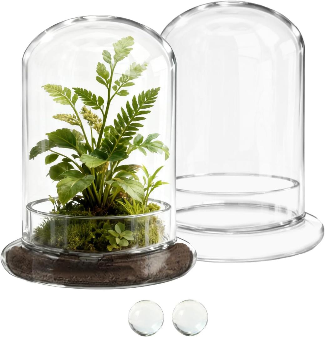 2 Pcs 5.9 x 8.46 Inch Glass Terrarium with Airhole and Base Clear Glass Dome Planter Display Container Plants Not Included for Office Desk, Balcony, Coffee Table