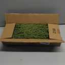 60 Pcs/Set Christmas 3D Artificial Pine Branches- 12.5 Inch Faux Evergreen Cedar Sprigs Branches- Fake Foliage Pine Needles Picks with Artificial Red Berry Stems for DIY Christmas Decoration