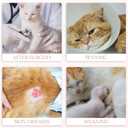 ANWA Cat Recovery Suit - Breathable Cat Onesie for Cats After Surgery Female, Kitten Surgery Recovery Suit Female Abdominal Wounds, S