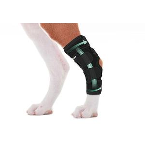 Lyderpet Dog Rear Leg Brace for Hock Joint, Compression Wrap Strong Support Back Leg for Canine Torn ACL & CCL, Injury and Sprain Protection, Keeps Stability for Wounds Care and Arthritis (XS)
