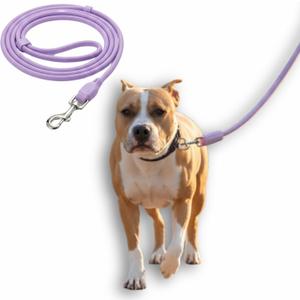 Silicon Hands Free Dog Leash Dual Wearable Handle Leashes Waterproof Medium Large Huge Dogs (18 lbs) Training Walking Running Durable (Baby Purple)