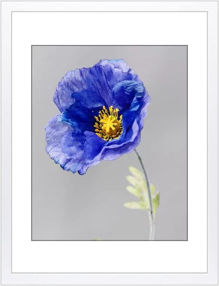 VNVNK 18x24 Frame White Picture frame-1 PCS, Perfect for 18x24 Inch Picture without Mat or 16x20 Inch Picture with Mat, Home Wall Decor Picture Frame