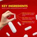 (3 Pack) ForgeLabs Blood Stabilizer – Daily Natural Formula with a Powerful Blend to Support Balanced Levels, Steady Energy & Healthy Circulation | Forge Labs Easy-to-Swallow Pills (180 Capsules), Exp: 06/2028