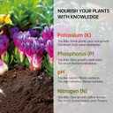 AAwipes Soil Test Kit for 4-in-1 pH, Nitrogen(N), Phosphorus(P), Potassium(K) Levels 40 Tests for Garden, Lawn, Yard & Plant Care Reliable Nutrient Tester with Sampling Accessories