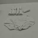 Hanes Women's Cotton Brief Panty (Pack of 10) (XL, White)
