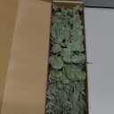 Tiyard 18pcs Eucalyptus Stems Artificial Eucalyptus Leaves Stems Artificial Fake Flowers for Home Office Flowers Bouquet Centerpiece Wedding Decoration Christmas Decor 2025