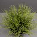 Summer Lifestyle Greenery Decorative Plant, 8"