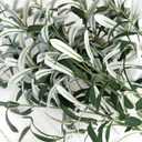 FiveSeasonStuff Artificial Olive Branches, 6 Gray-Green 30 Inch Faux Olive Stems with Bendable Wire for Vases & Centerpieces