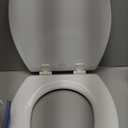 Bemis 1500EC 390 Lift-Off Wood Elongated Toilet Seat, Cotton White (Pack of 1)