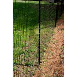 Black Fence