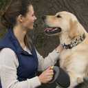 Dog Collar Buckle, Fastener Stainless Steel Buckle for Small Medium Large Dogs Collar Steel Chrome Plated (L:3.5-4.0mm, Black)