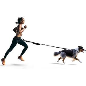 Fitly Running Belt