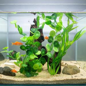 Aquarium Artificial Plants 2 Pack Tall Realistic Fish Tank Plants Decor with Stable Base, Safe Soft Leaves for Betta, Guppy, Shrimp & Tropical Fish, Natural Aquascape Decoration for Aquarium