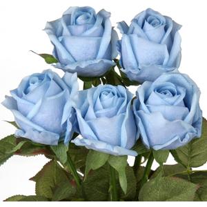 Artificial Realistic Roses Blue Flowers 24" Real Touch Silk Roses Bouquet Long Stems Rose for Flower Arrangement Fake Roses Decor for Home Party Wedding Table Centerpieces Roses Realistic - 5 Pcs