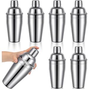 6 Pcs Stainless Steel Cocktail Shaker 18.6 oz Professional Martini Mixer Shaker with Built-in Strainer, Bar Drink Mixer Bartending for Bar Party Home Drink Mixing Tool (Silver)