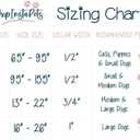 Wisconsin Badgers Collars and Leashes | Officially Licensed | Fits All Pets! (Large Collar)