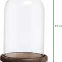 MyGift The Bell Jar Glass Cloche with Rustic Wood Base, 10 Inch Tall Clear Decorative Glass Dome Display for Plants, Curios, Keepsakes, Heirlooms