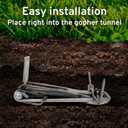 Victor Easy Set Weather-Resistant Outdoor Gopher Trap - 0611 - Versatile Gopher Trap - Kill Gophers in Yard - 2 Pack