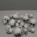 Aoriher 20 Pieces Halloween Skull Plastic Realistic Looking Skeleton Skull Human Skeleton Head Fake Decor Miniatures for Crafts Halloween Decorations for Home Table Bar Decor, 3 Sizes(Large)