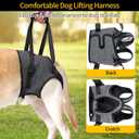 HEYWEAN Dog Sling for Large Dogs Hind Leg Support Harness Ideal for Elderly Injured Arthritic Dogs Provides Rehabilitation Aid for Weak Back Legs Comfortable and Durable Design, XL
