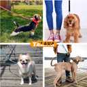 2 x YALAVA 5FT Dog Leash with Soft Padded Handle, Heavy Duty Nylon Reflective Dog Leashes, Fits Small Medium or Large Dogs, Pink