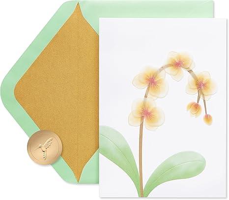 PAPYRUS Sympathy Card, 1 EA