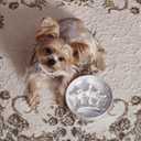 LE TAUCI Ceramic Slow Feeder Dog Bowls Small Breed, 0.6 Cups Dog Food Dish for Fast Eaters, Puzzle Bowl for Small Dogs and Cats,Crown Silver