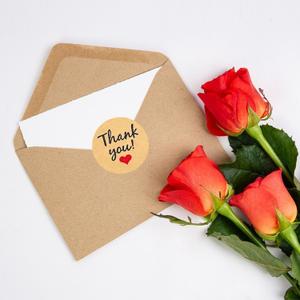 25 Pack 350GSM | Thank You Cards | Thank You Cards & Notes with Envelopes | Pefect for Baby Shower, Wedding, Teacher, Graduation, Business, Holiday, and Christmas | Teacher Appreciation Gifts