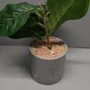 Fake Plants Artificial Tropical Plants Indoor in White Pot for Home Office Desk Accessories Bathroom Sage Green Decor