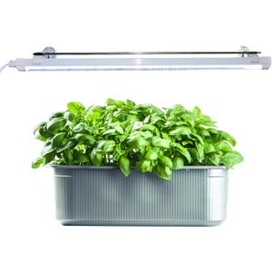 2FT Suction Cup Style Plant Grow Light,12W, LED Grow Lamp Fixture on Wall, Seed Starter kit, 6500K Cool White, Enhanced Blue Light, Height Adjustable, Herbs Growing lamp, IP54
