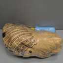 INPANY Bouncy Bull Hopping Toys - Toddler Brown Plush Cow Hopper, Kids Inflatable Farm Animal Hopper Horse, Outdoor Indoor Ride on Rubber Bouncer, Toys for 2 3 4 Year Old Boy Girl Birthday Gifts