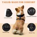 Dog Tuxedo for Wedding, Pet Tuxedo Suit with Bow Tie, Pet Costumes for Small Dogs, Formal Party Attire for Halloween Christmas, Small, Black White