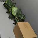 Nearly Natural Artificial Dieffenbachia, Floor Plant Faux Greenery With Decorative Planter For Indoor Home Decor