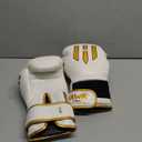 Hawk Sports Boxing Gloves for Men and Women, Comfy Boxing Training Gloves with Foam Padding for Throwing Power Punches with Confidence, Heavy Bag Boxing Gloves for Training and Sparring 12.OZ