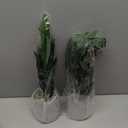 2pcs Fake Plants 16" Faux Plants Artificial Tropical Plants Indoor for Home Office Desk Kitchen Bathroom Table Shelf Decor