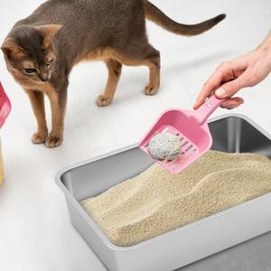 Tioncy 1 Pack Stainless Steel Litter Box for Cat,23.5 x 15.5 x 6 Inch Extra Large Metal Litter Box Non Stick Litter Pan with High Sides Never Absorbs Odor, Rustproof for Cat Dog