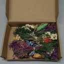 WGXX 10/12/24/36 Pack Mini Dried Flowers for Vase Wedding Various Mini Bouquet Dried Small Wildflowers Natural Flowers Bulk for Crafts DIY Decor (12, Romantic Colour)