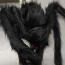 3 Parts Skeleton With Halloween Pumpkin Hat and Spider