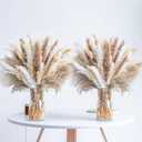 300PCS Natural Dried Pampas Grass Boho Home Decor Bouquet Phragmites Dried Flowers Bouquet for Wedding Floral Arrangements Home Decorations (300PCS)