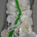 FagusHome 32" Artificial Phalaenopsis Flowers 6 Pcs Artificial Orchid Flowers Stem Plants for Home Dcor (6Pcs) (White)